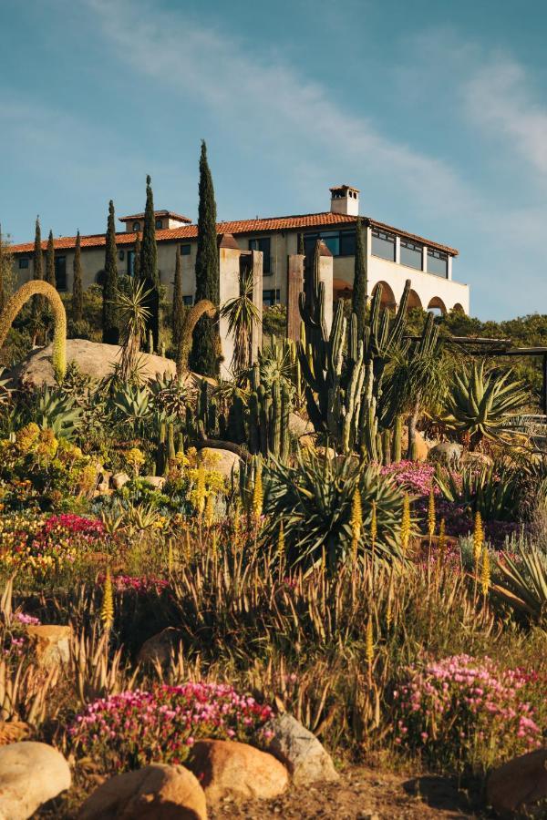 La Villa Del Valle Valle de Guadalupe Buitenkant foto